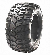 25x10R12 63N, Sunf, A-043