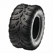 22x10D10 , Sunf, A-028