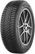 255/45R20 105V, Cooper Tires, WINTER
